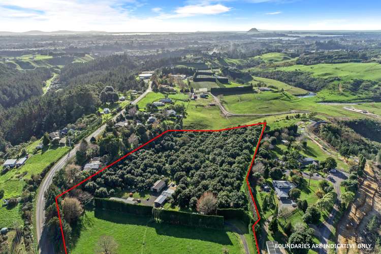 1a Warner Road Oropi_15