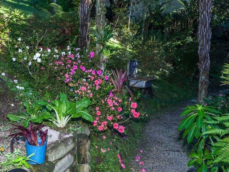 36 Rewa Rewa Vall Tairua_16