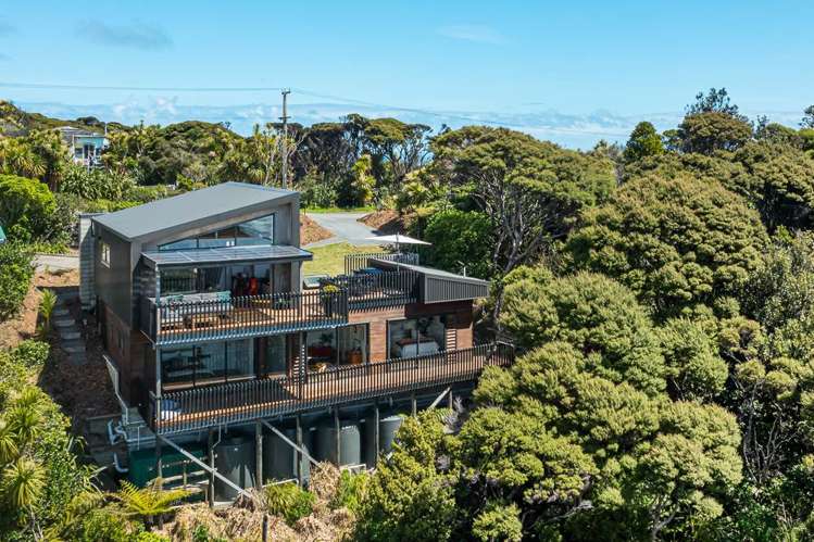 23 Log Race Road Piha_27