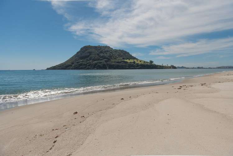 Address withheld Mount Maunganui_8