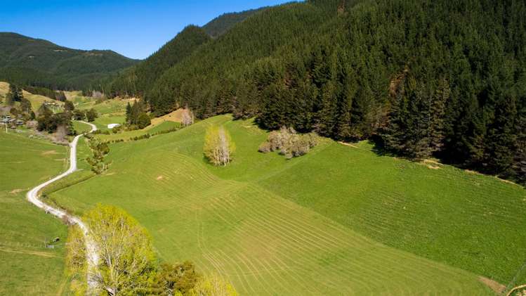 312 Lud Valley Road Hira_32