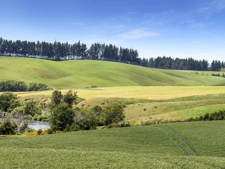 264 Dumfries Road, Taumata Clinton_7