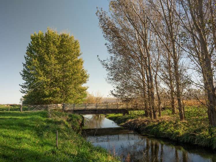 420a Kahutara Road Kahutara_18