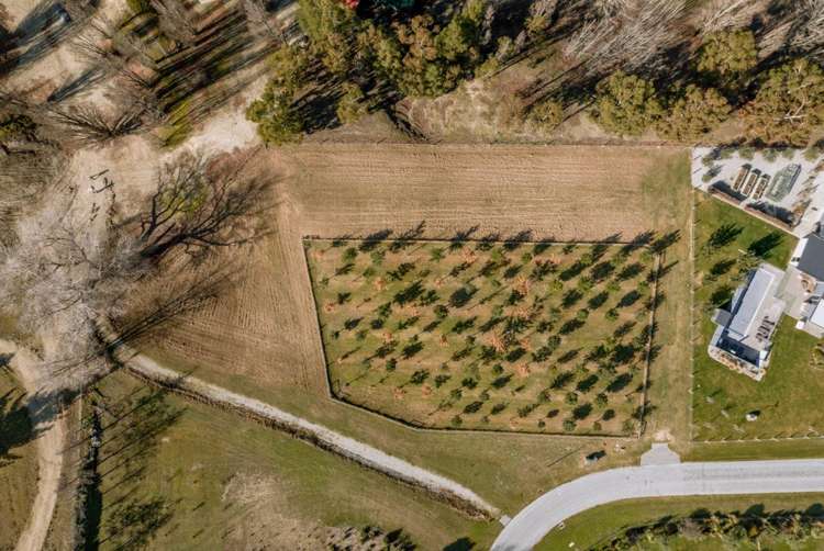 11 Thelma Place Cromwell_8