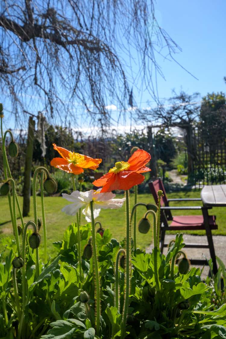 130 King Edward Street Motueka_22