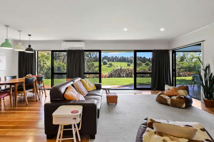 46 Parry Street Pirongia_8