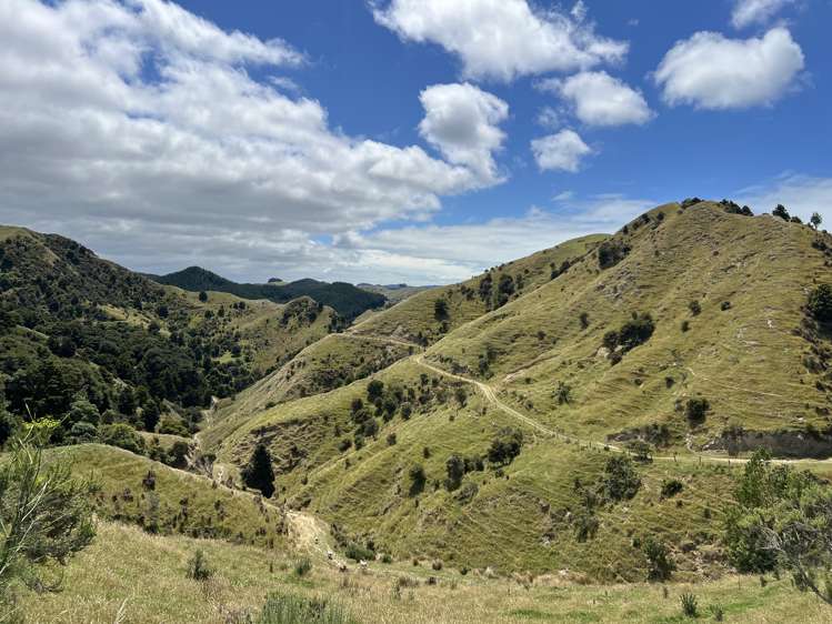 310 Branscombe Road Akitio_1