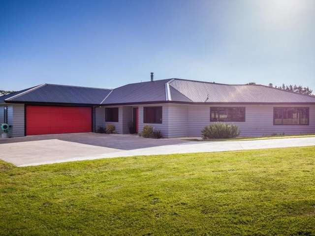 295 Opunake Road Cardiff_3