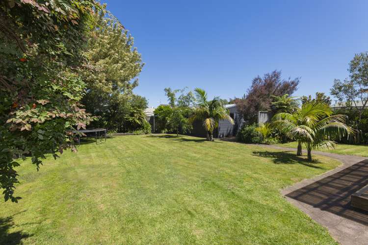 60 Clifford Street Whataupoko_12