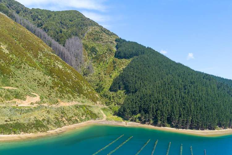 815 Manaroa Road Marlborough Sounds_22