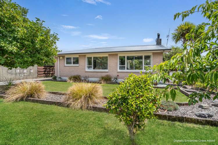 19 Devon Street Stoke_0