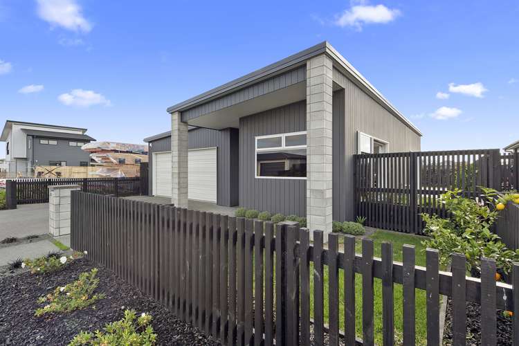 33 Capper Crescent Chartwell_2