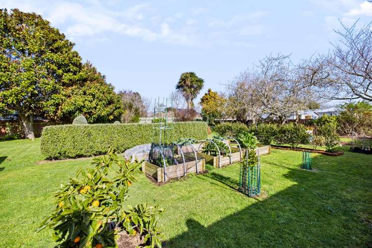 22 Fitzroy Street Normanby_26