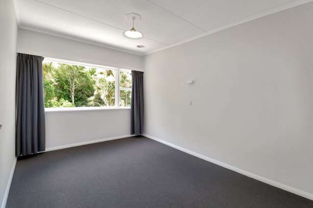 65 Norway Street Aro Valley_4