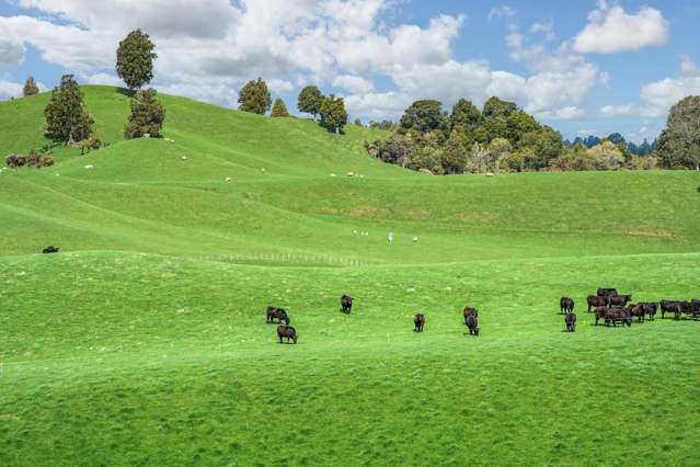 50 Little Bush Road Puketitiri_4