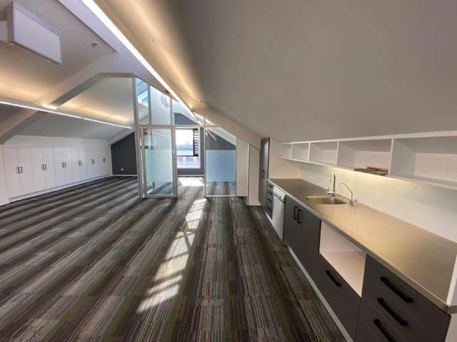 8 Cleveland Road Parnell_1