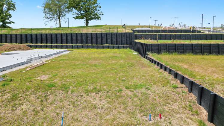 27 Halo Green Peacocke_5