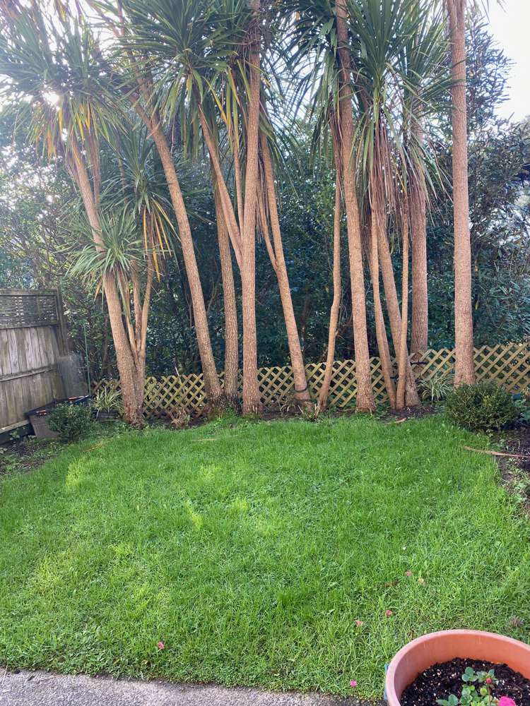 14/11 The Avenue Albany_6