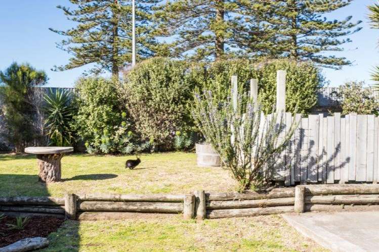 8 Te Awa Avenue 2106_6