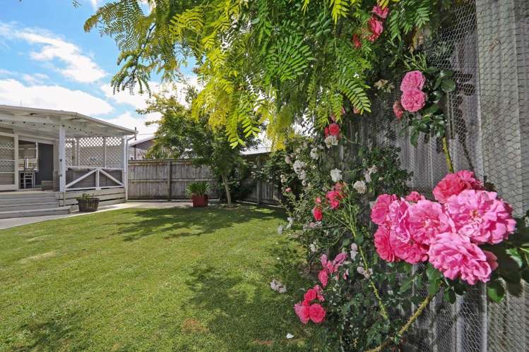 206 Lascelles Street Saint Leonards_19