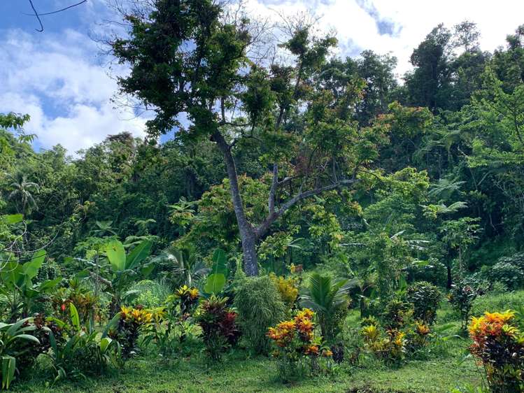 Qamea Island Vanua Levu_11