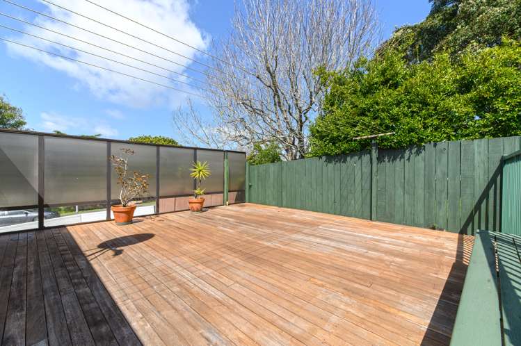 1 Tropicana Drive Mount Roskill_21