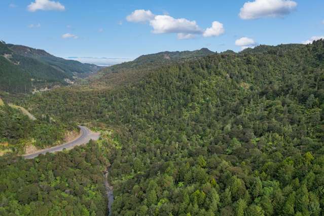 495 Kopu Hikuai SH 25A Thames-coromandel_1