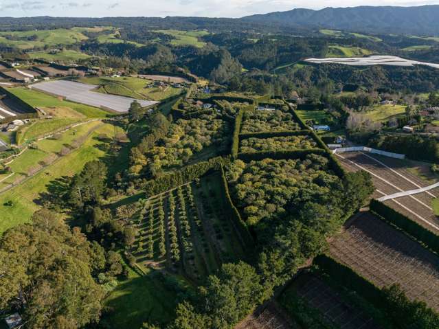 261 Wainui South Road Whakamarama_1