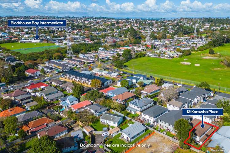 12 Korowha Place New Lynn_5