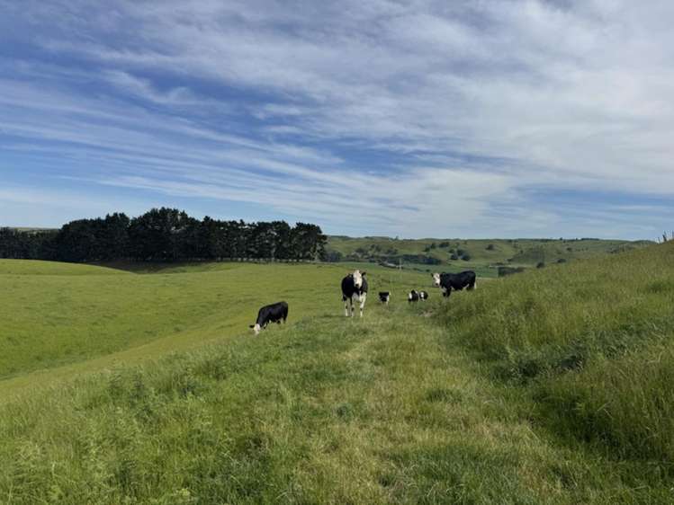 302 Bruce Road Turakina_14