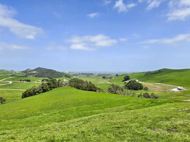 3050 Mititai Road Dargaville_1