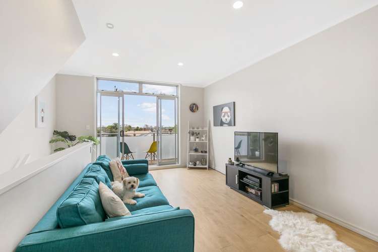 25g George Street Mount Eden_6