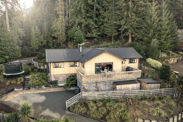 An alpine property that pays its way!