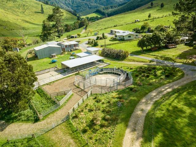 726 Tunakino Valley Road Rai Valley_2