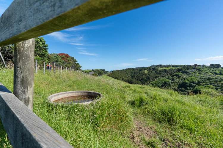 70 Walu Lane Matapouri_35