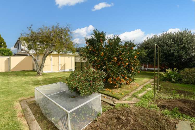 433 Otumoetai Road Otumoetai_12