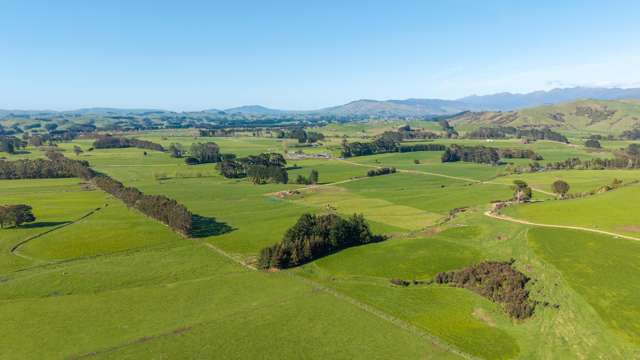 886 Kakariki Road Eketahuna_4