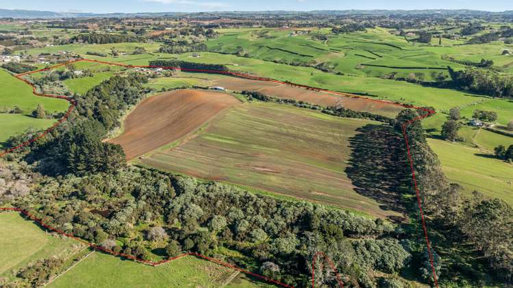156 Schlaepfer Road Pukekohe_33