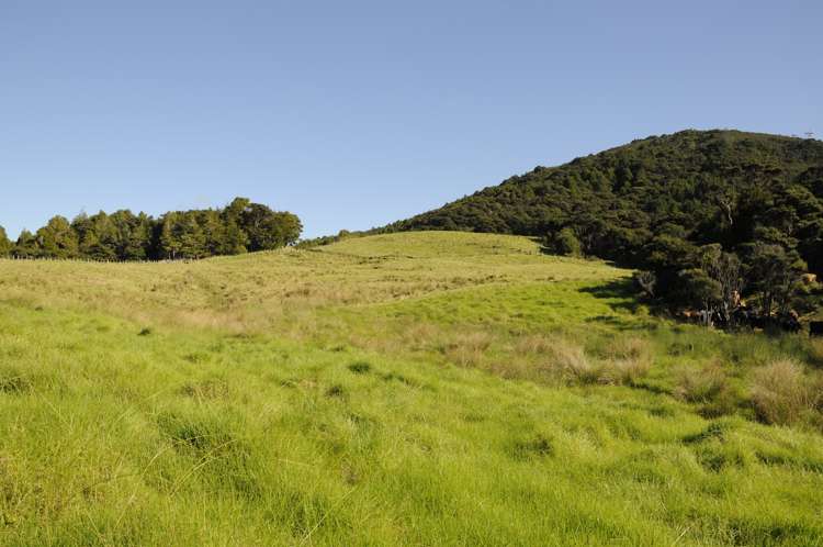 28 Pa Hill Lane Mangawhai_6