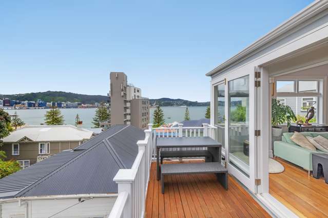 11 Hay Street Oriental Bay_1