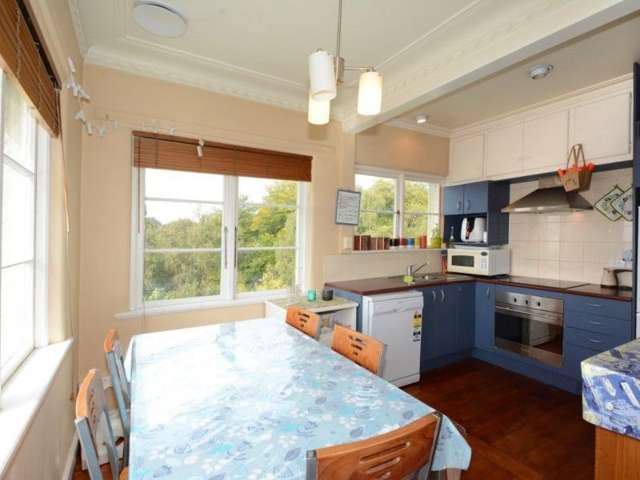 4h Alva Street Dunedin Central_3