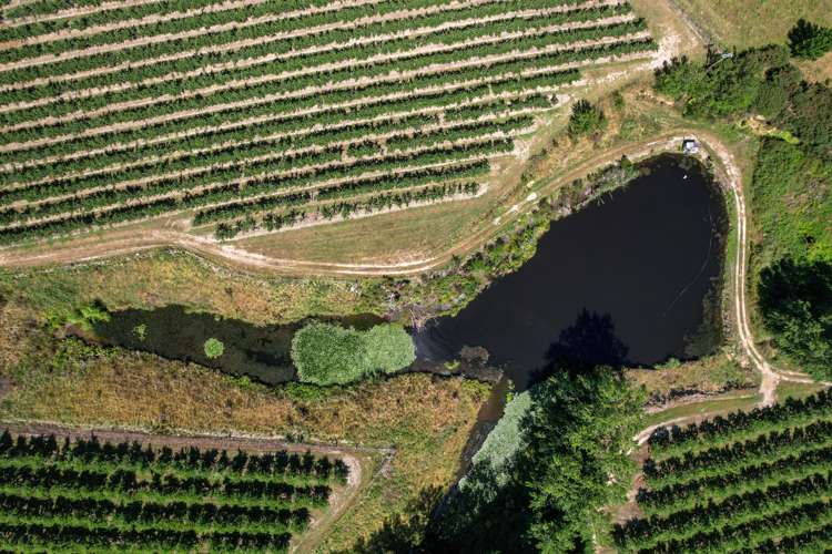 5 Lindup Road Lower Moutere_5