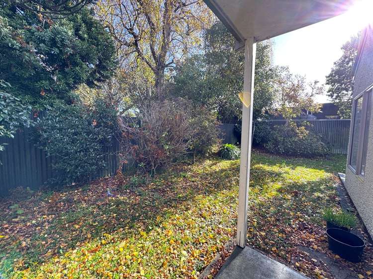 39A St Albans Avenue Hokowhitu_12