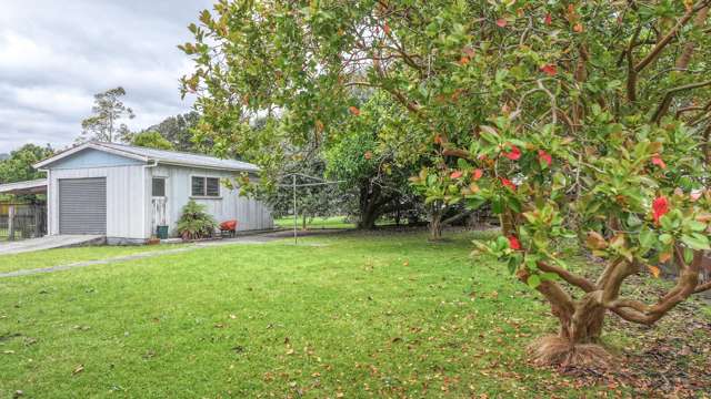 306 Ngati Maru Highway Thames_2