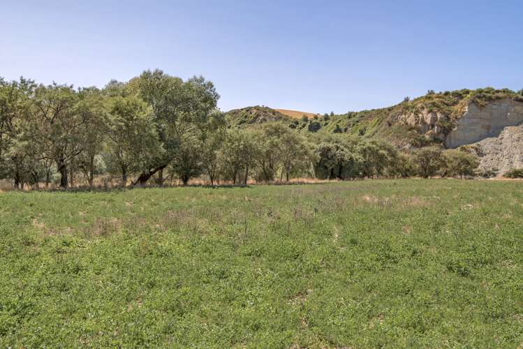 175 Mendip Road Cheviot_11