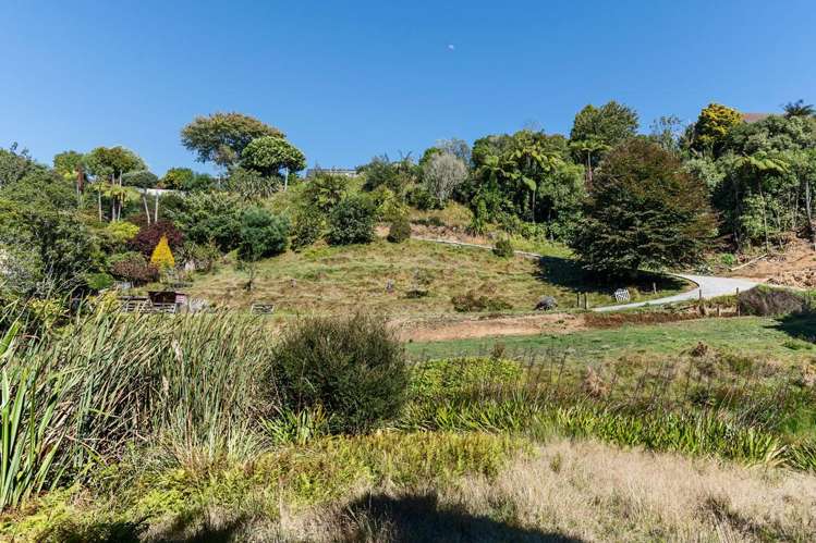 144b Heta Road Highlands Park_5