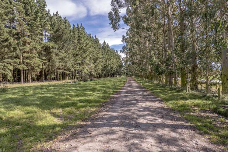 904 Dip Road Methven_35