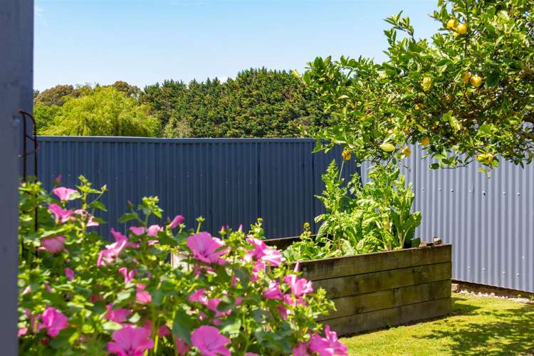 23 Deller Drive Carterton_19