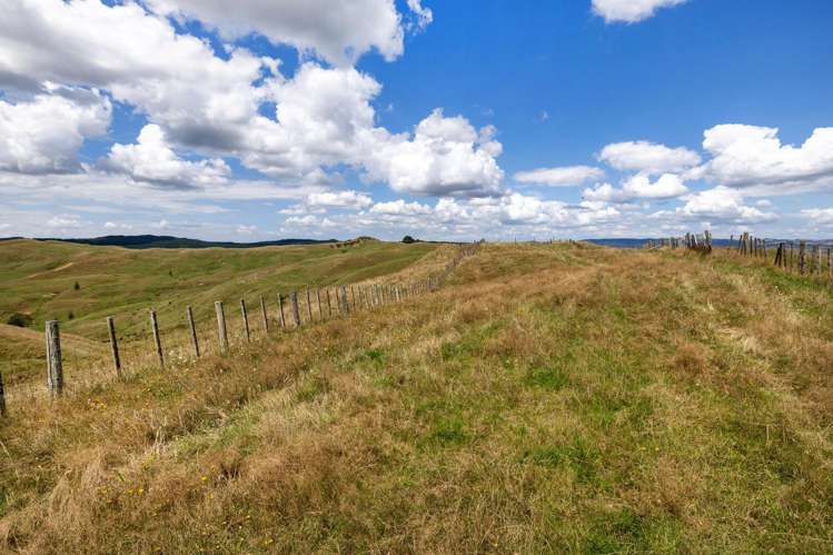 826 Ruakiwi Road Te Akau_24