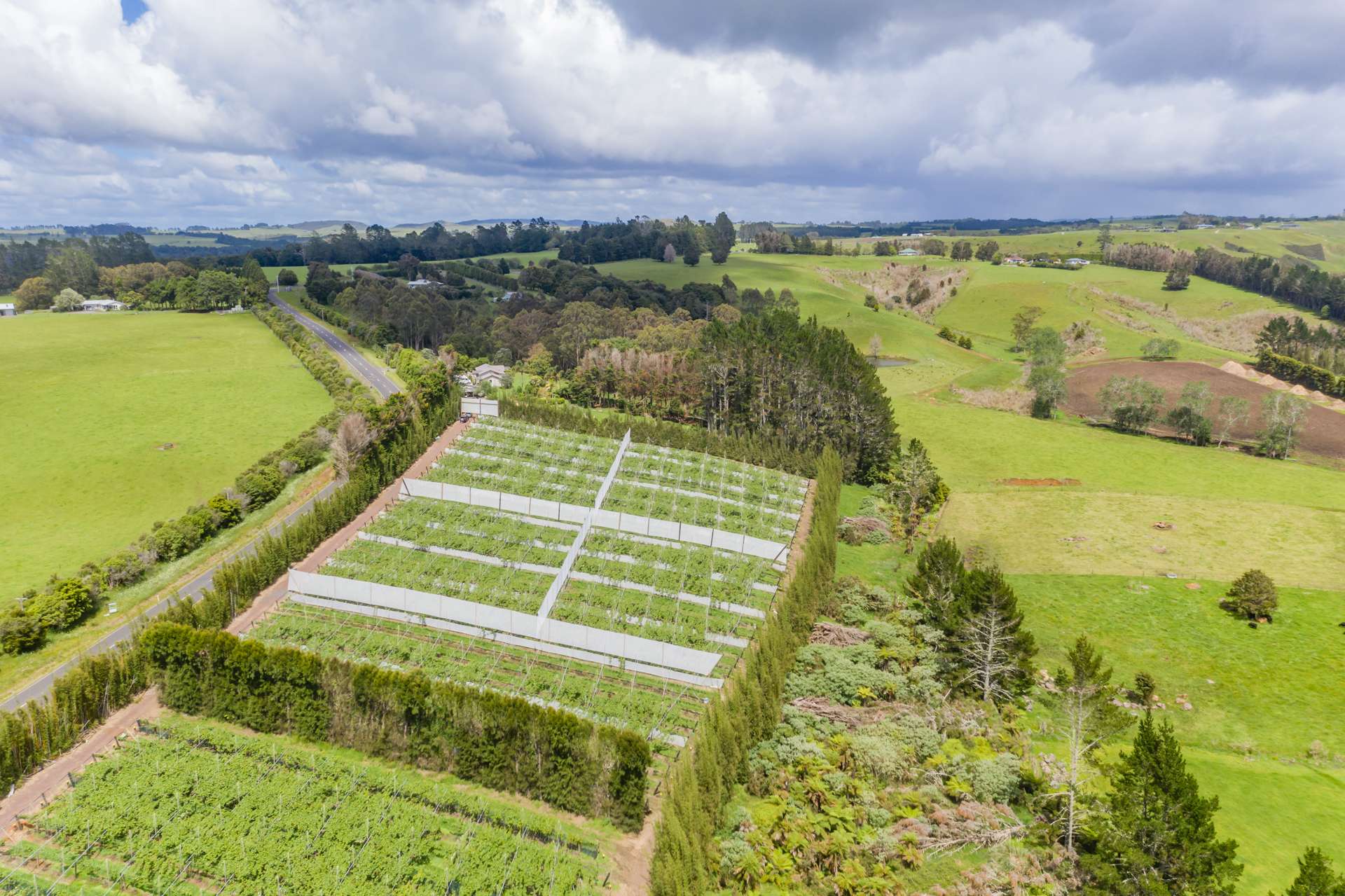 Pungaere Road Kerikeri Surrounds_0